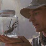 Aracnofobia avrà il suo remake?