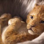 Il re leone: rilasciato il primo teaser trailer del nuovo live action Il re leone: rilasciato il primo teaser trailer del nuovo live action