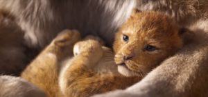Il re leone : rilasciato il primo teaser trailer del nuovo live action