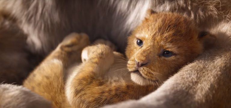 Il re leone: rilasciato il primo teaser trailer del nuovo live action