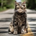 Pet sematary si mostra in un nuovo terrificante trailer