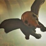 Dumbo: l'elefantino di tim burton vola davvero in alto Dumbo: l'elefantino di tim burton vola davvero in alto
