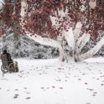 Game of thrones 8: cronaca della seconda puntata