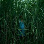 Nell'erba alta: pubblicati data di uscita e trailer (aggiornato)