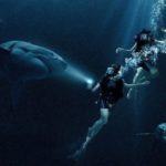 Arriva nelle sale cinematografiche 47 meters down: uncaged