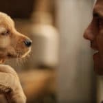 Attraverso i miei occhi: il nuovo film con milo ventimiglia Attraverso i miei occhi: il nuovo film con milo ventimiglia