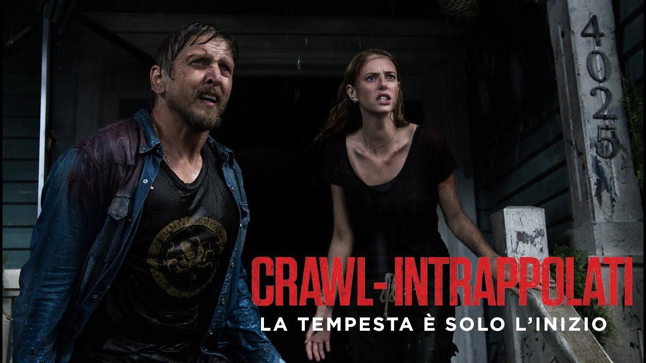 Crawl - intrappolati, haley durante l'uragano