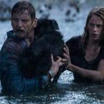 Crawl - intrappolati finale spiegato: haley, dave e sugar sopravvivono?