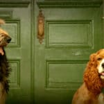 Lilli e il vagabondo: tutto sul live action