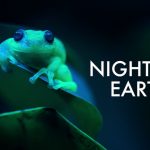 notte sul pianeta terra netflix