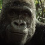 L'unico e insuperabile ivan in autunno su disney +