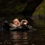 Scuola di sopravvivenza: missione safari, il nuovo film interattivo di bear grylls