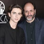 Luca guadagnino dirige timothée chalamet in bones & all