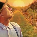 From the vine conquista il box office neozelandese