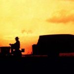 Road movies: 5 titoli da non perdere