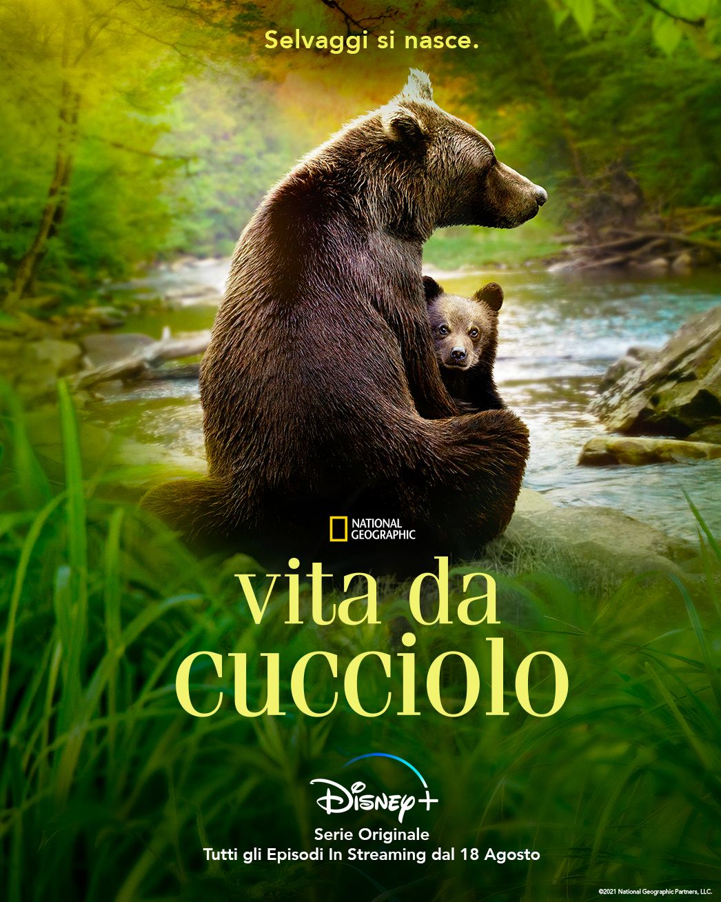 Vita da cucciolo: ecco il trailer e la key art