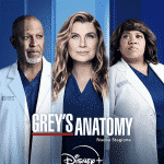 Grey's anatomy e station 19: il ritorno