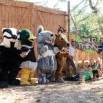 Wild things - il bosco dei più pazzi