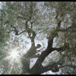Il documentario qui non c'è niente di speciale