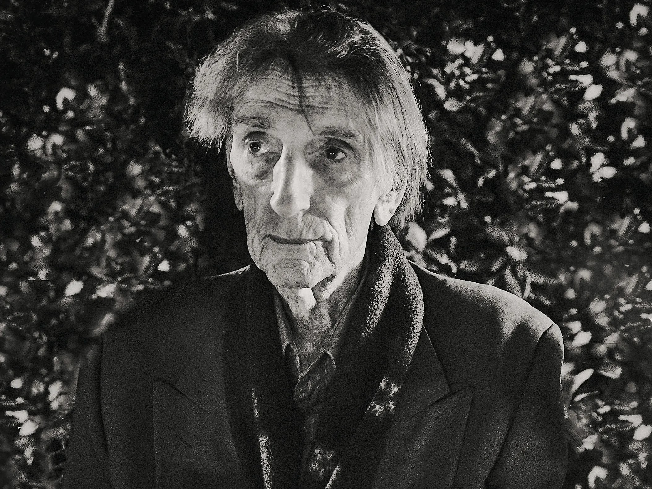 Harry dean stanton