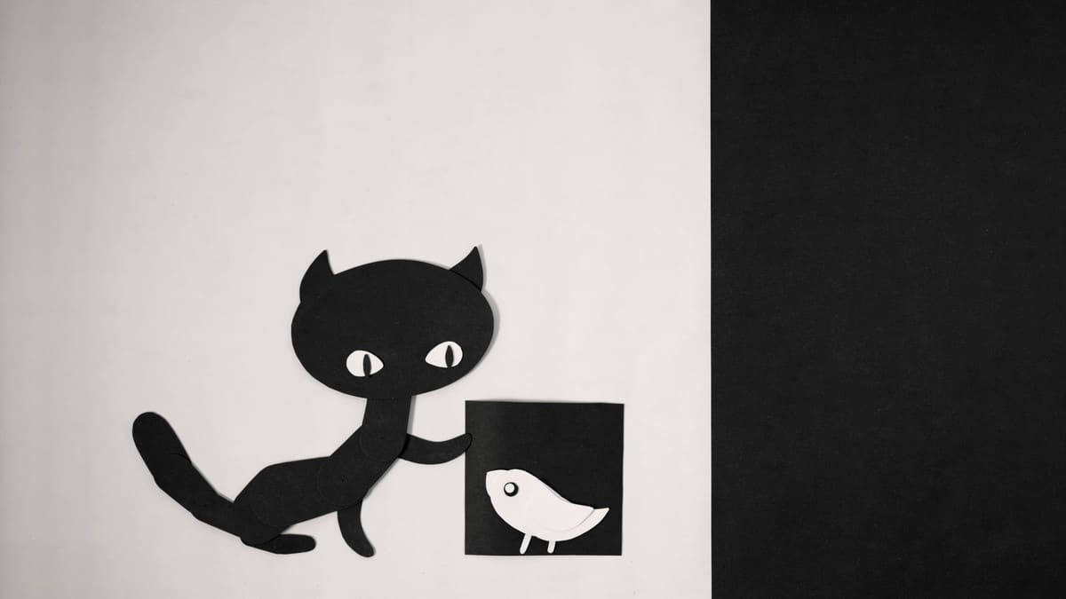 Saka Sy Vorona/Cat and Bird