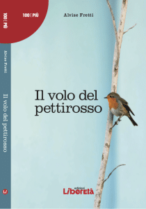 Il volo del pettirosso