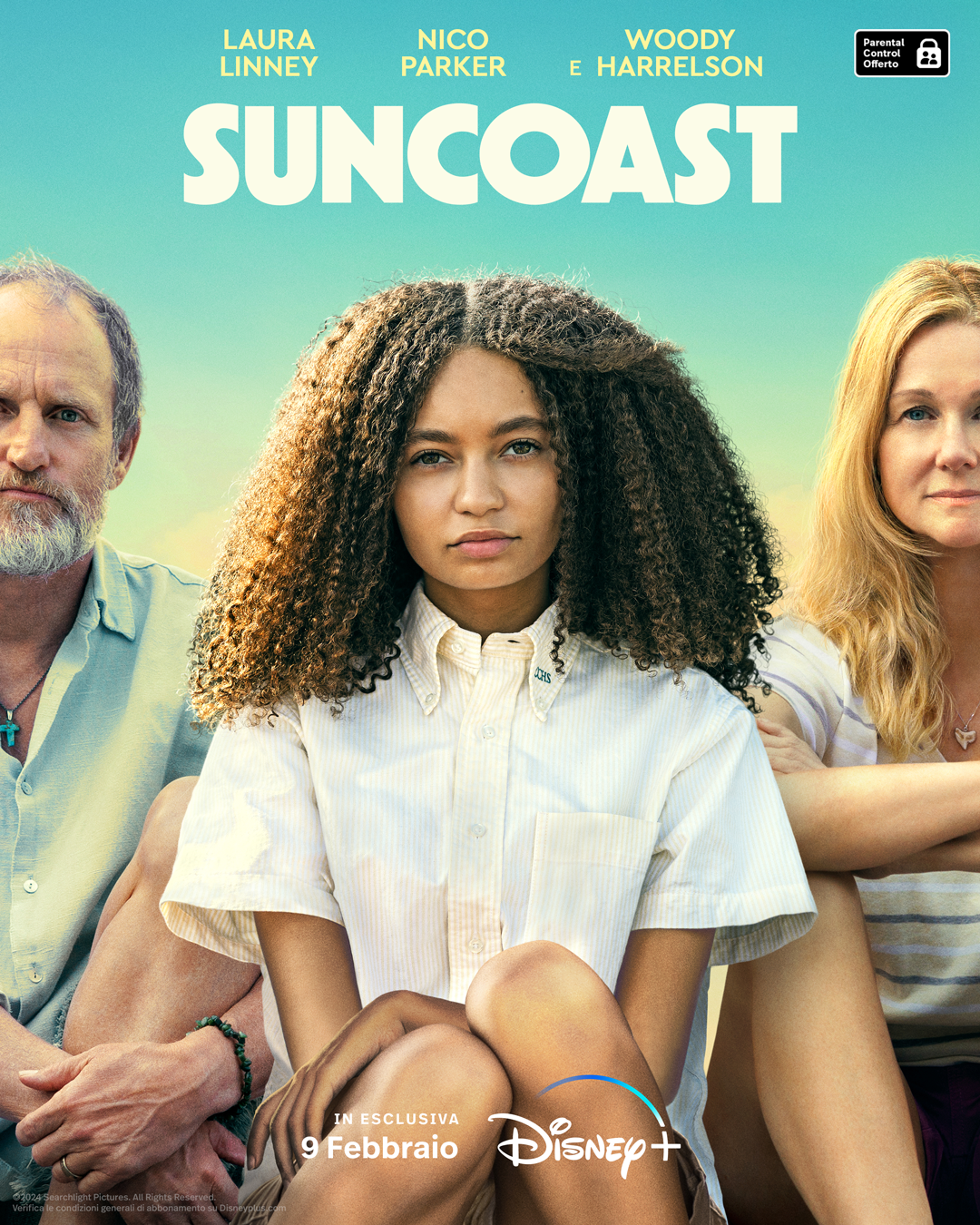 Suncoast poster