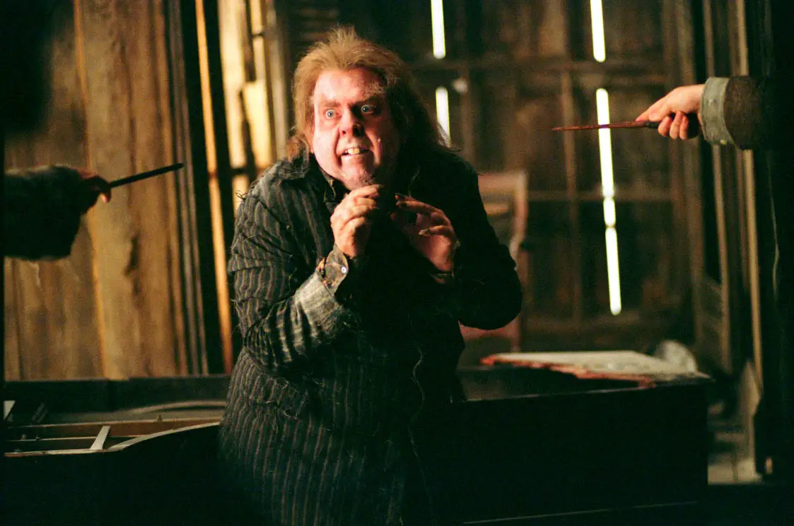 Timothy Spall alias Codaliscia in Harry Potter - Ritratto di un attore