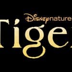 Tiger: torna disneynature per la giornata dedicata alla terra