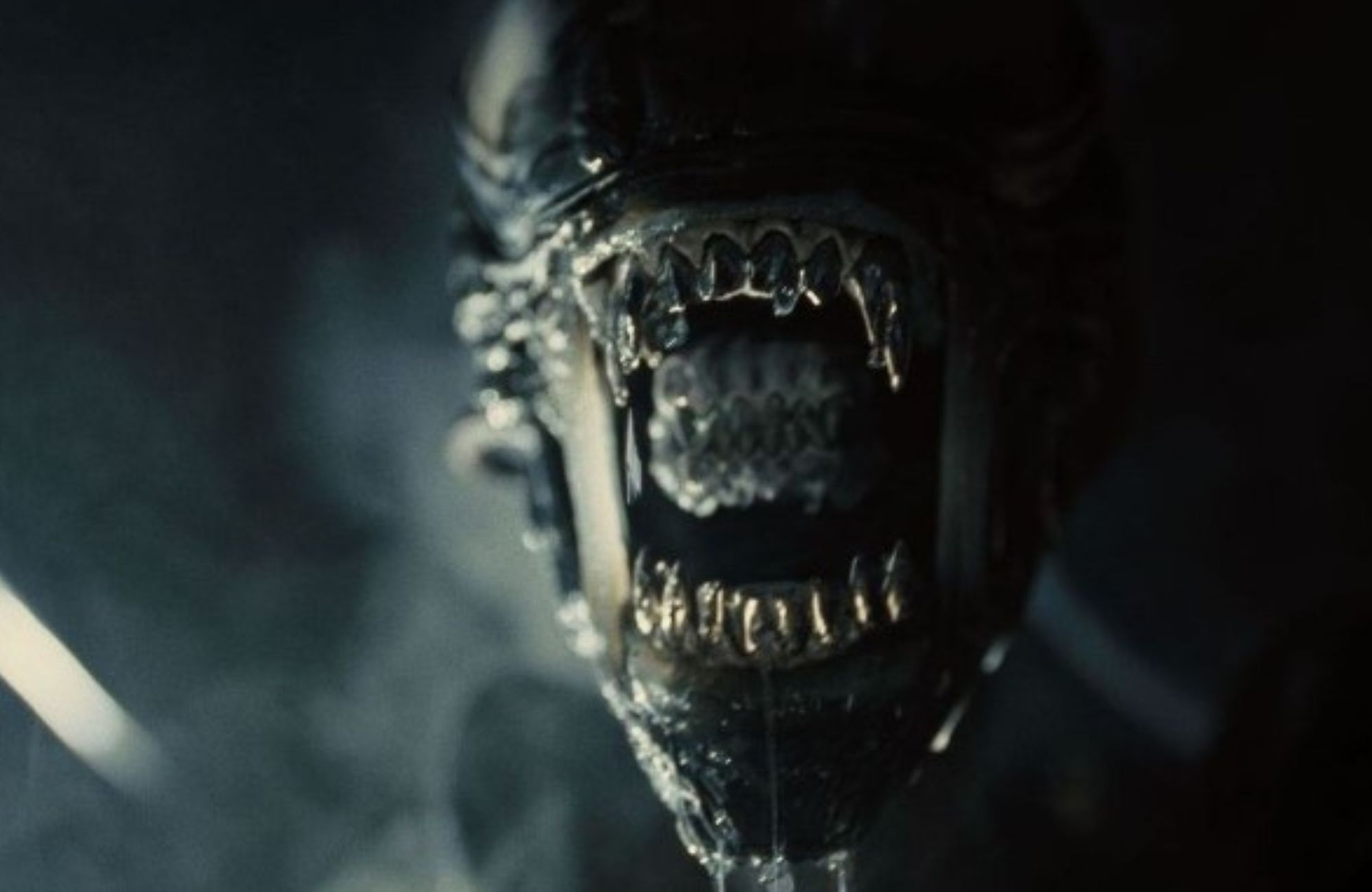 Alien day al comicon di napoli 2024