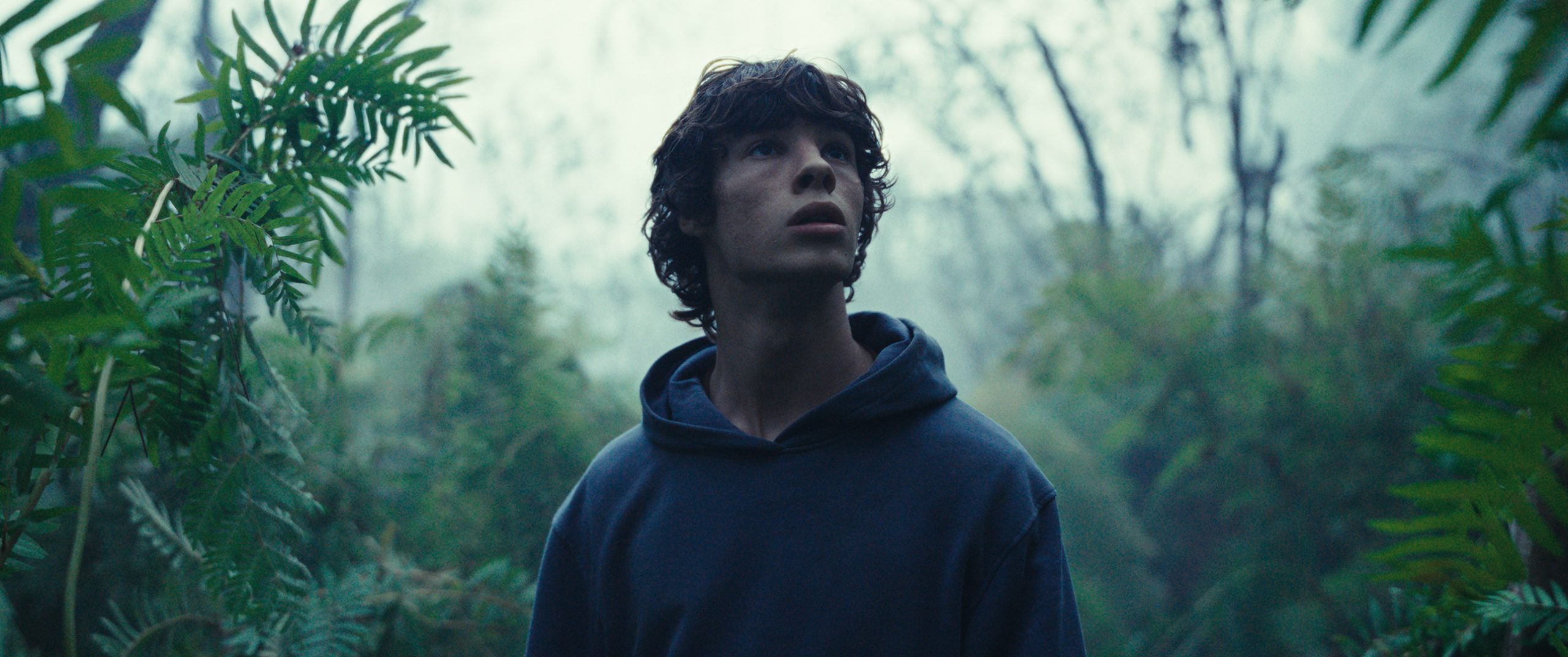 The animal kingdom al cinema dal 13 giugno, ecco il trailer
