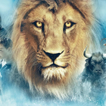 Narnia, greta gerwig svela le novità sul remake netflix Narnia, greta gerwig svela le novità sul remake netflix