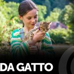 Vita da gatto (2024): la recensione del film in esclusiva