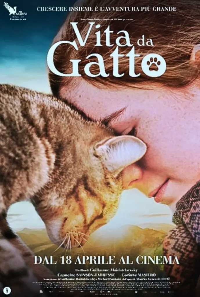 Vita da Gatto film recensione