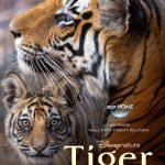 Tiger trailer e key art, dal 22 aprile su disney+