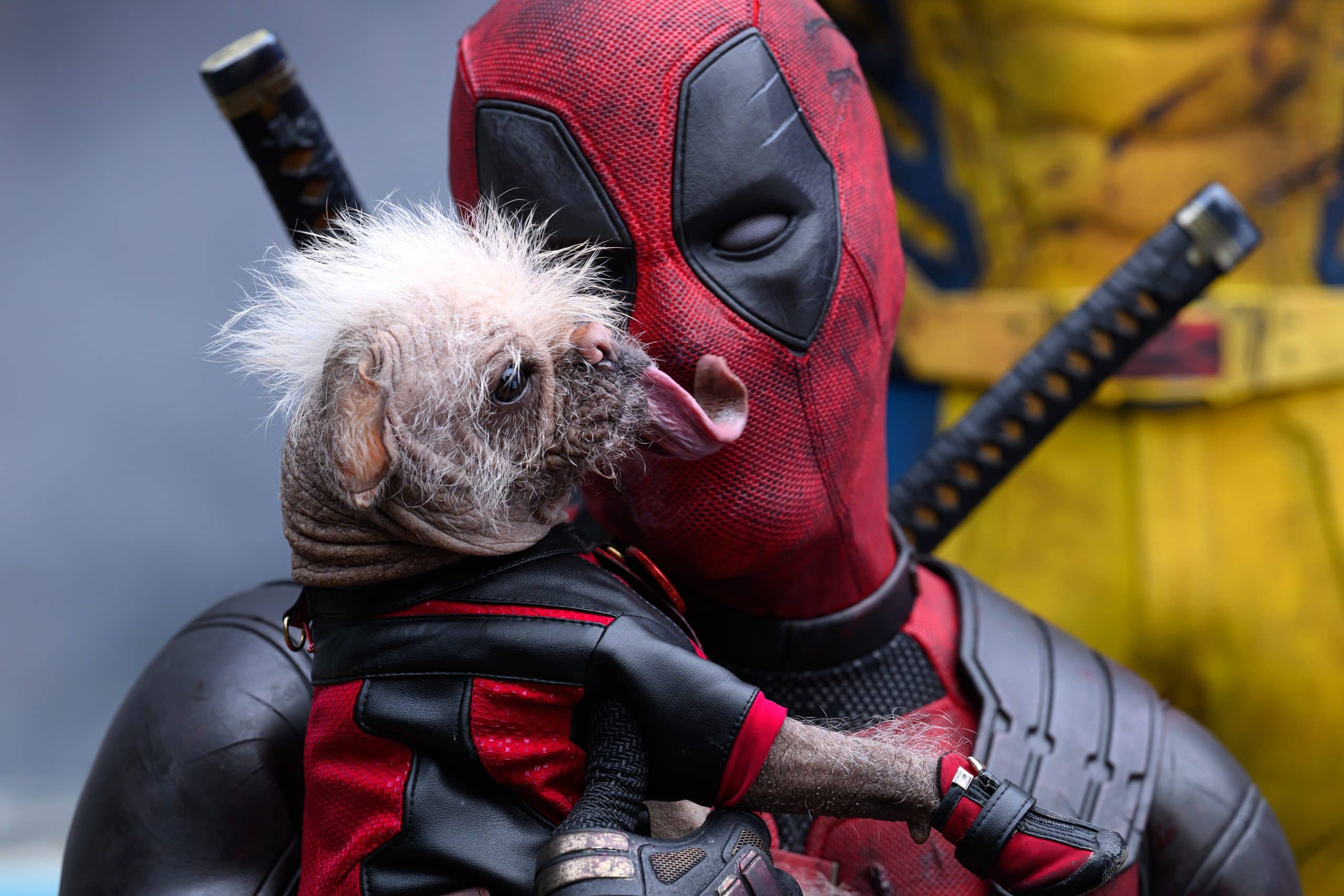 Marvel: incredibile rottura di un autore dopo deadpool 3