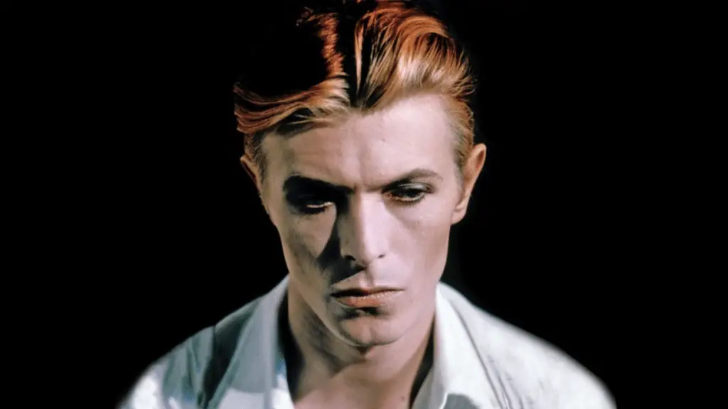 L’uomo che cadde sulla terra david bowie