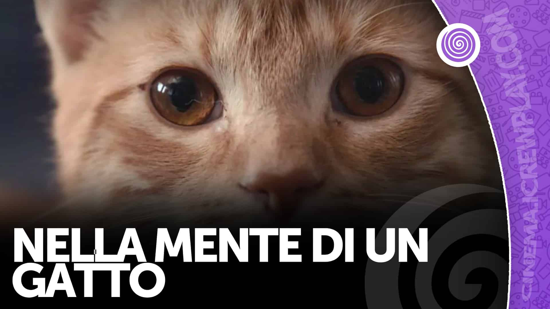 Nella mente di un gatto copertina