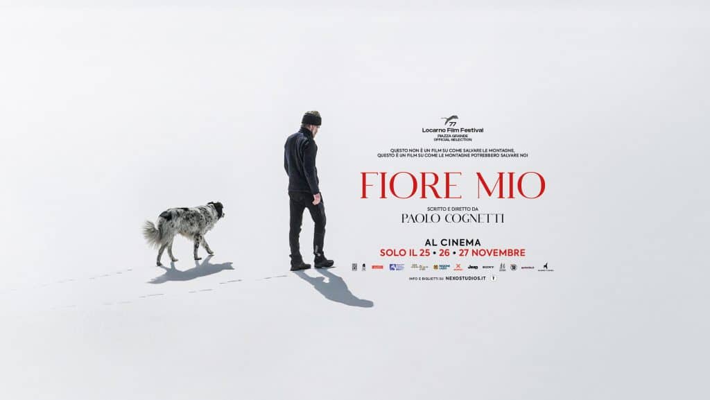 Fiore mio debutta al cinema paolo cognetti