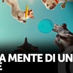 Nella mente di un cane, gli orridi bau bau sono antipoetici