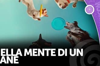 Nella mente di un cane copertina