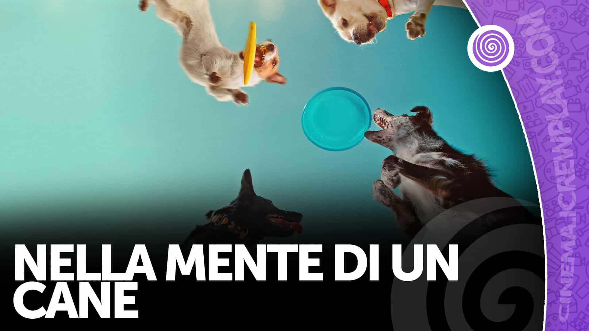 Nella mente di un cane Copertina