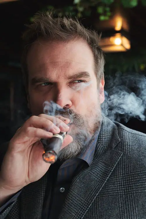 David harbour, ritratto del gigante del cinema e della tv