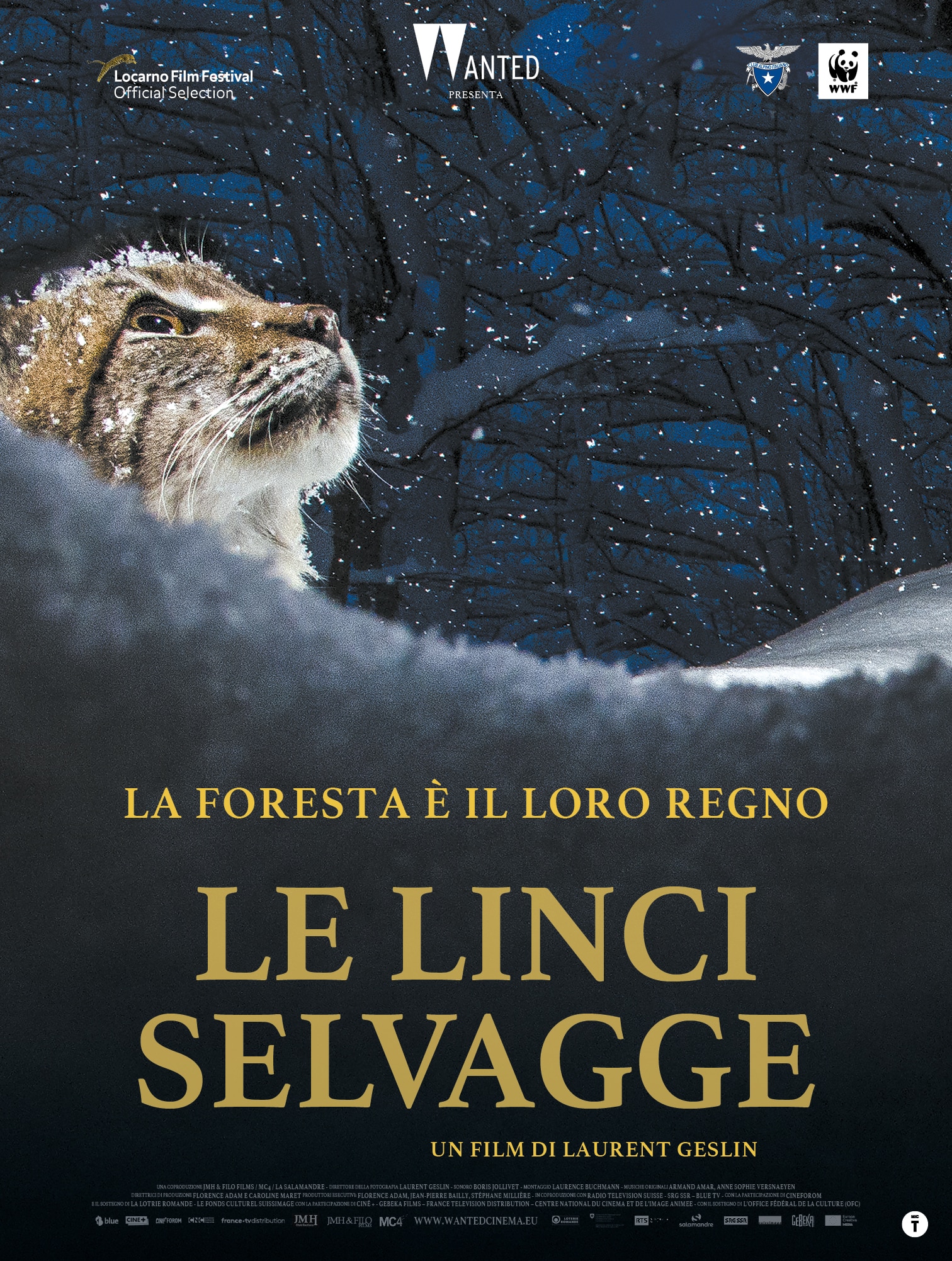 Le linci9 selvagge poster