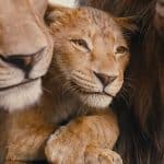 Mufasa: incredibile cast vocale per il film del 19 dicembre
