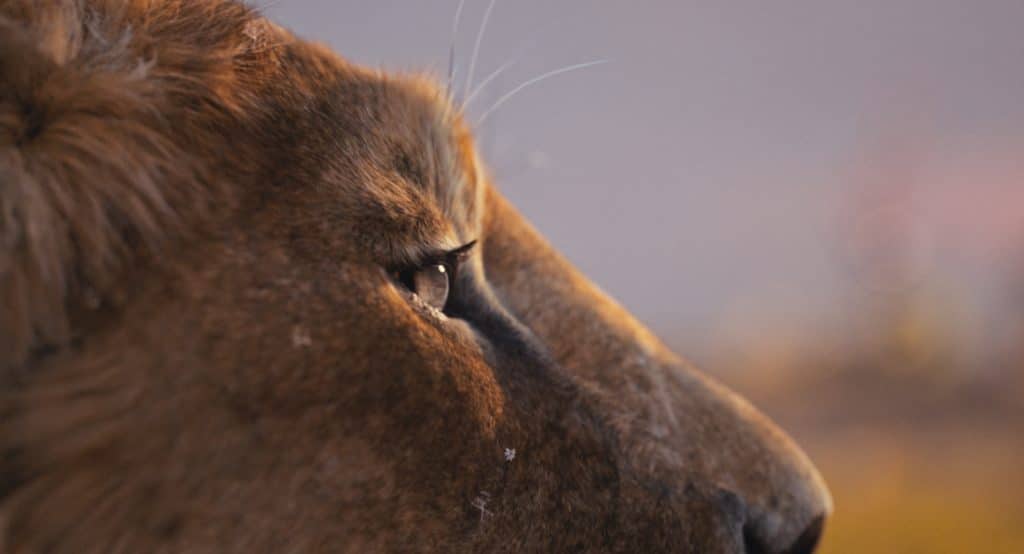 Mufasa: un prequel non a livello del primo