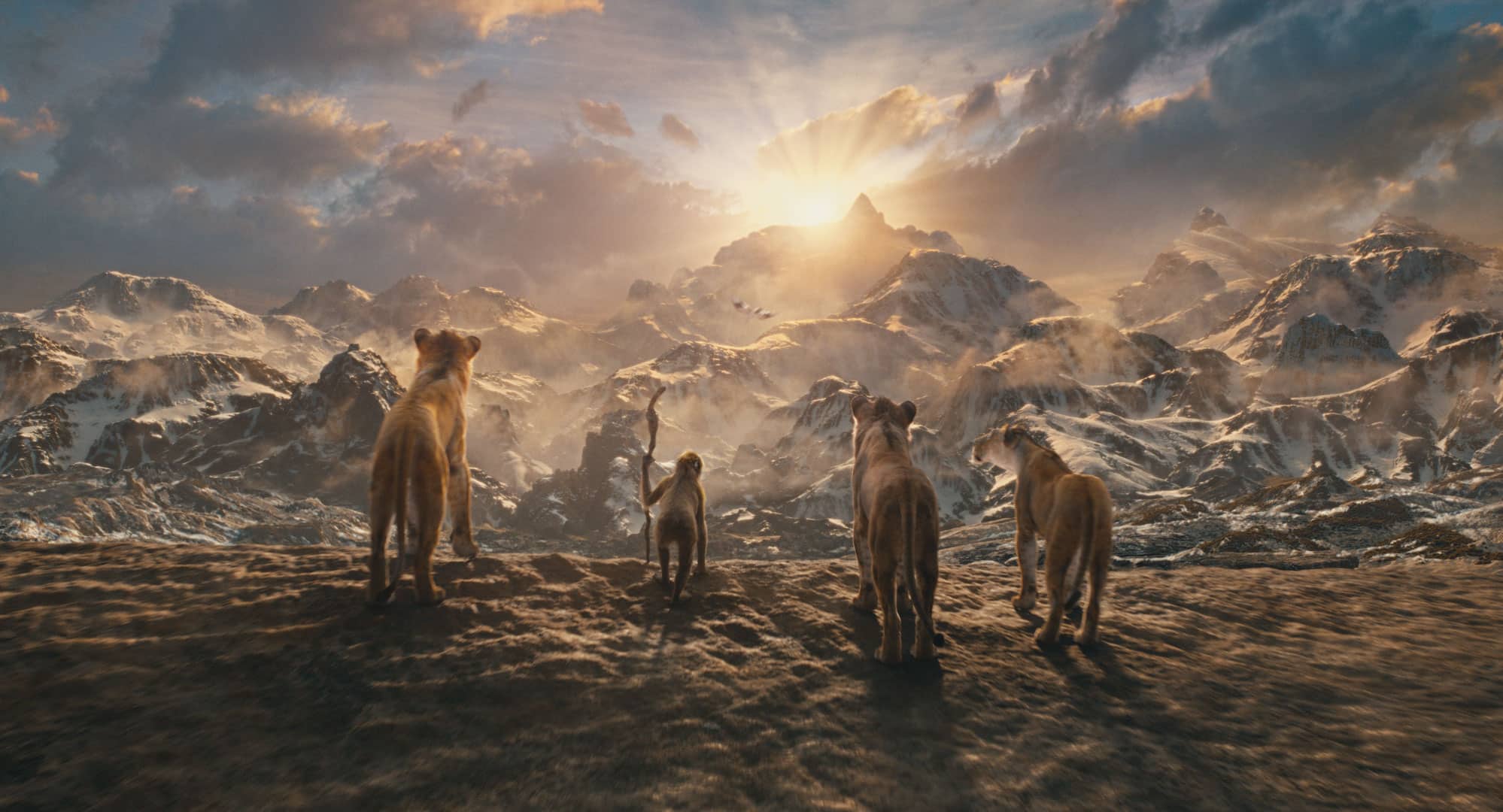 Disney italia svela le novità cinematografiche del 2024-2025