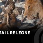 Mufasa: un prequel non a livello del primo