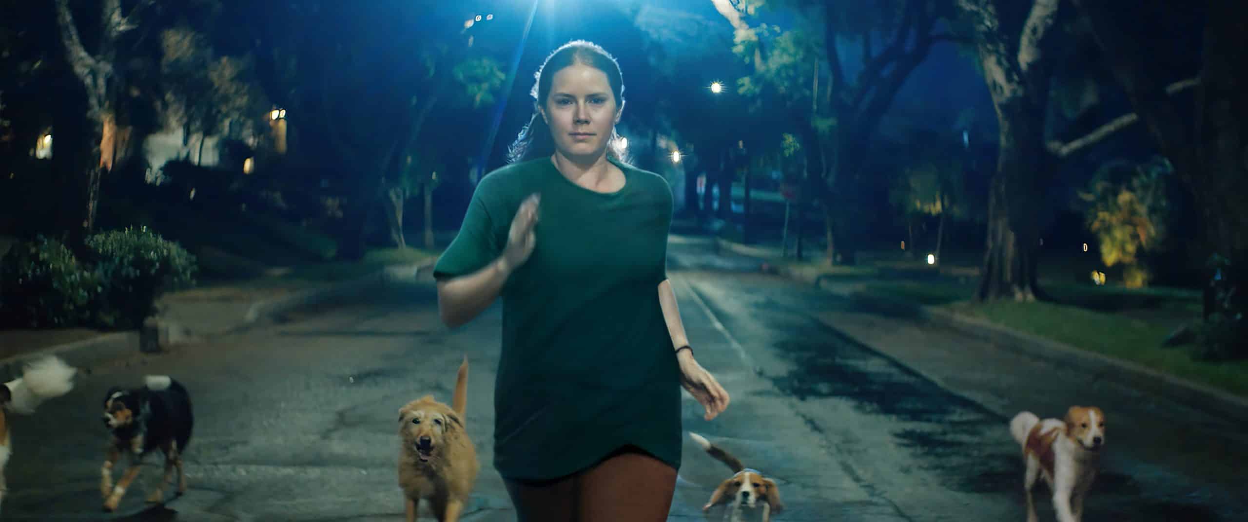 Nightbitch, il film con amy adams dal 24 gennaio su disney+
