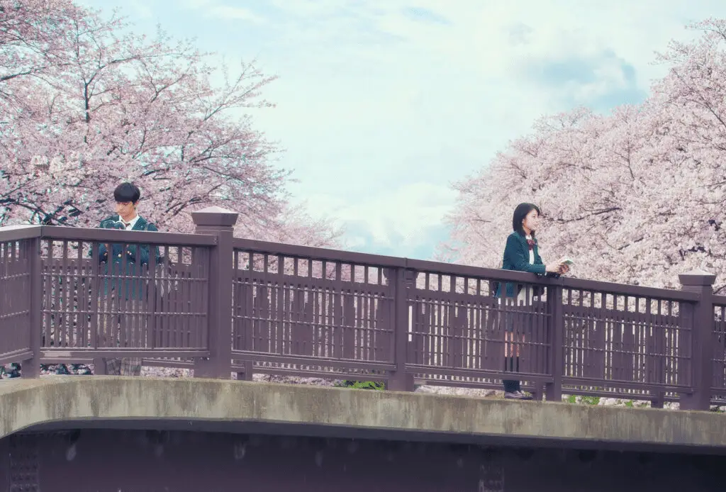 Let me eat your pancreas in sala dal 3 al 5 febbraio, la clip